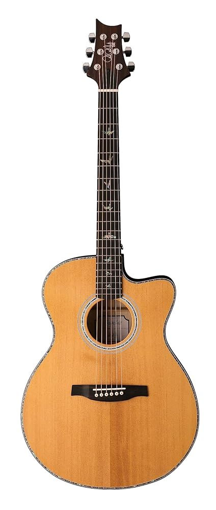 Amazon.com: PRS Paul Reed Smith 6 String SE Angeles A40